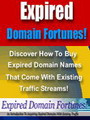 Expired Domain Fortunes